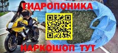 гашиш Новодвинск