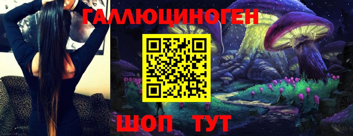 Псилоцибиновые грибы Psilocybe Шатура