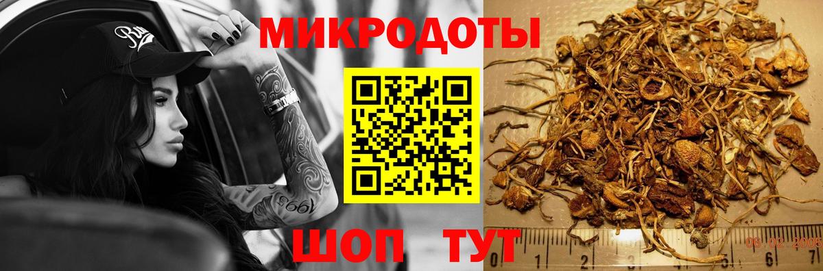 Шатура  Псилоцибиновые грибы Magic Shrooms  Вход с VPN  Псилоцибиновые грибы Psilocybine cubensis 